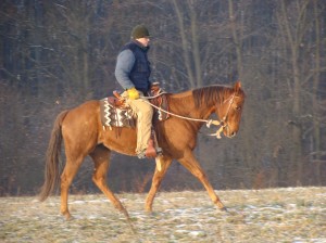 Obrazek